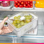 FRESHBOX - Organizadores (KIT COM 4 UNIDADES )