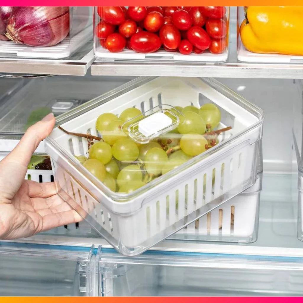 FRESHBOX - Organizadores (KIT COM 4 UNIDADES )