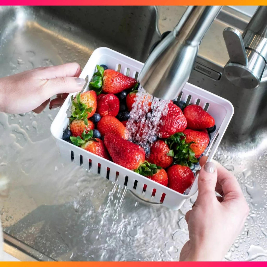 FRESHBOX - Organizadores (KIT COM 4 UNIDADES )