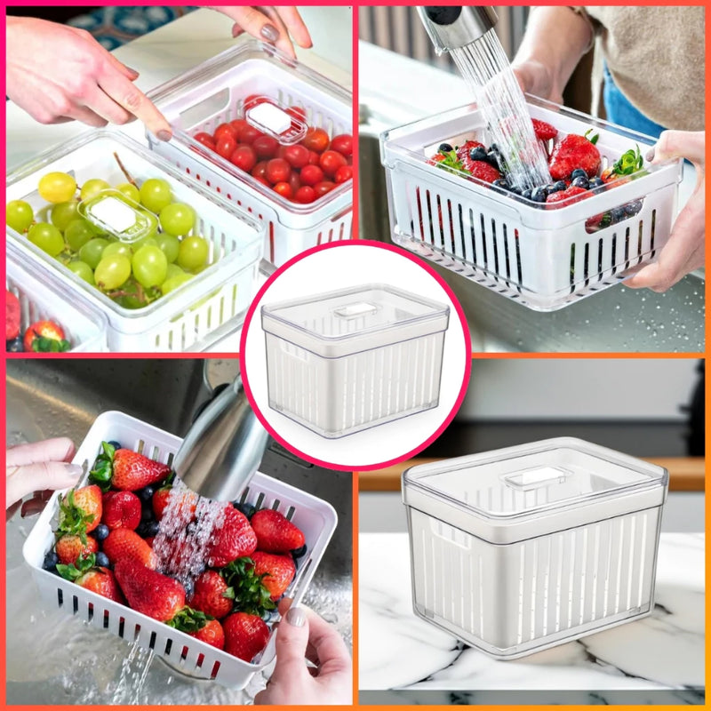 FRESHBOX - Organizadores (KIT COM 4 UNIDADES )