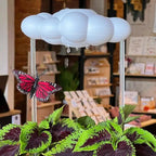 Regador de Nuvem de Chuva