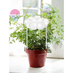 Regador de Nuvem de Chuva