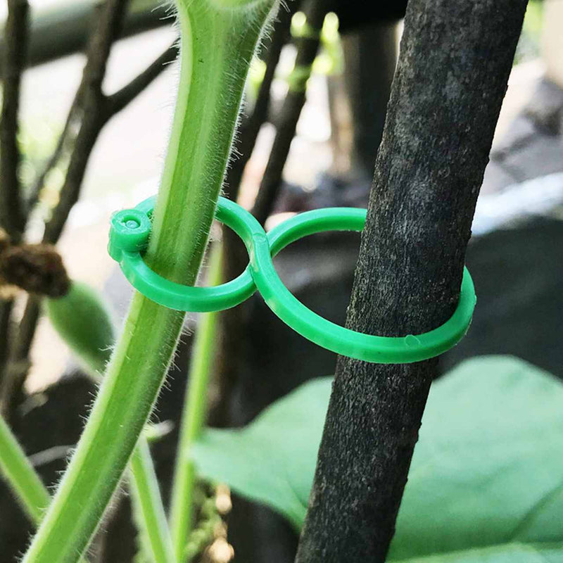 Clipes Suporte Para Plantas, Trepadeiras, Jardins - (Kit Promocional com 100 unidades)