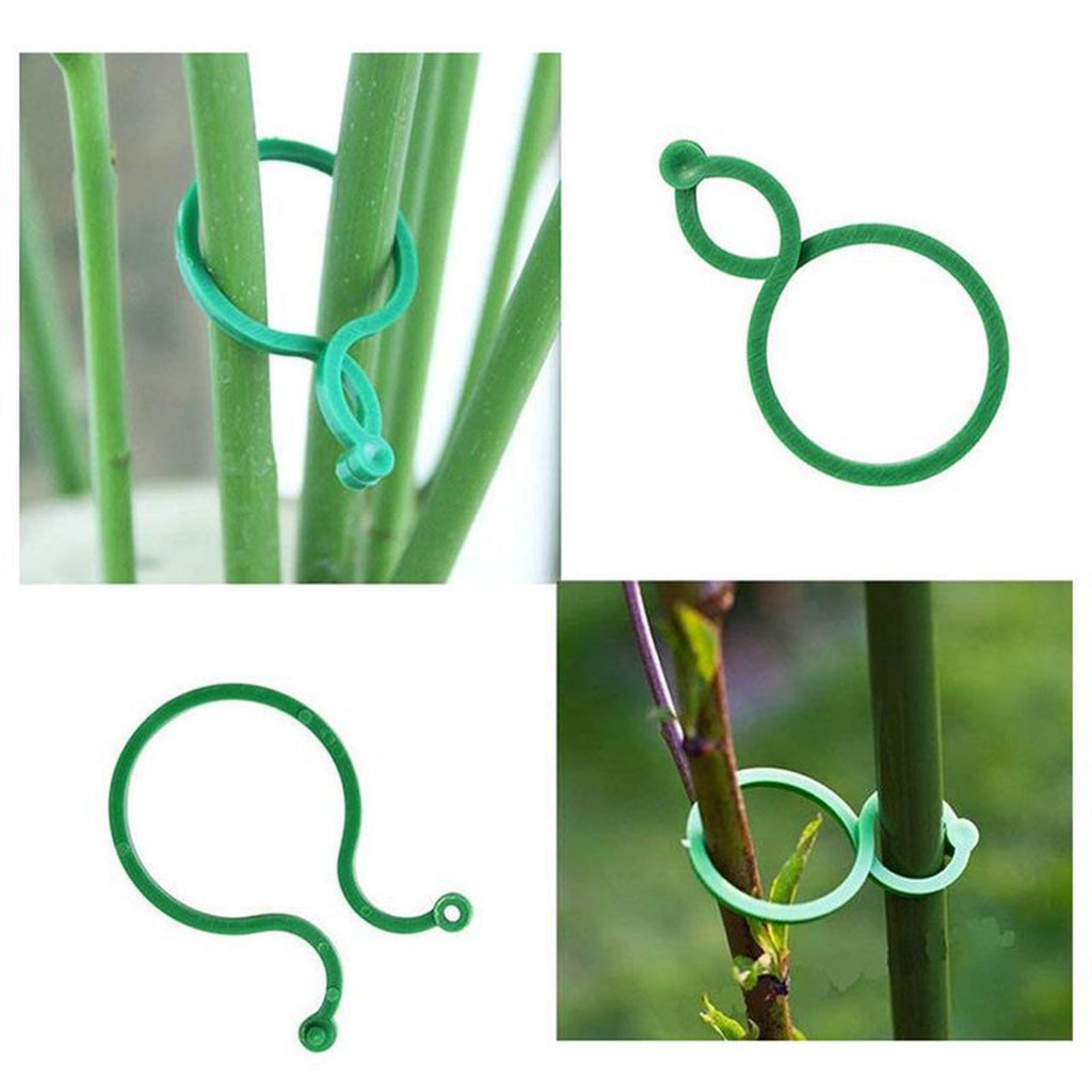Clipes Suporte Para Plantas, Trepadeiras, Jardins - (Kit Promocional com 100 unidades)
