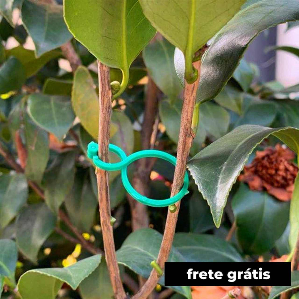 Clipes Suporte Para Plantas, Trepadeiras, Jardins - (Kit Promocional com 100 unidades)